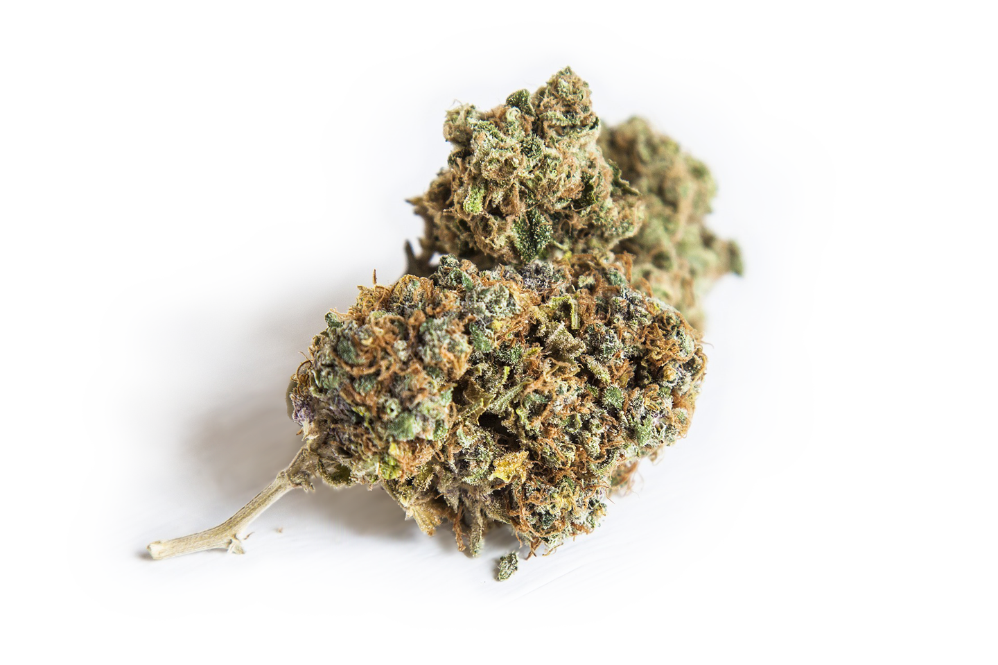 cannabis bud on transparent background